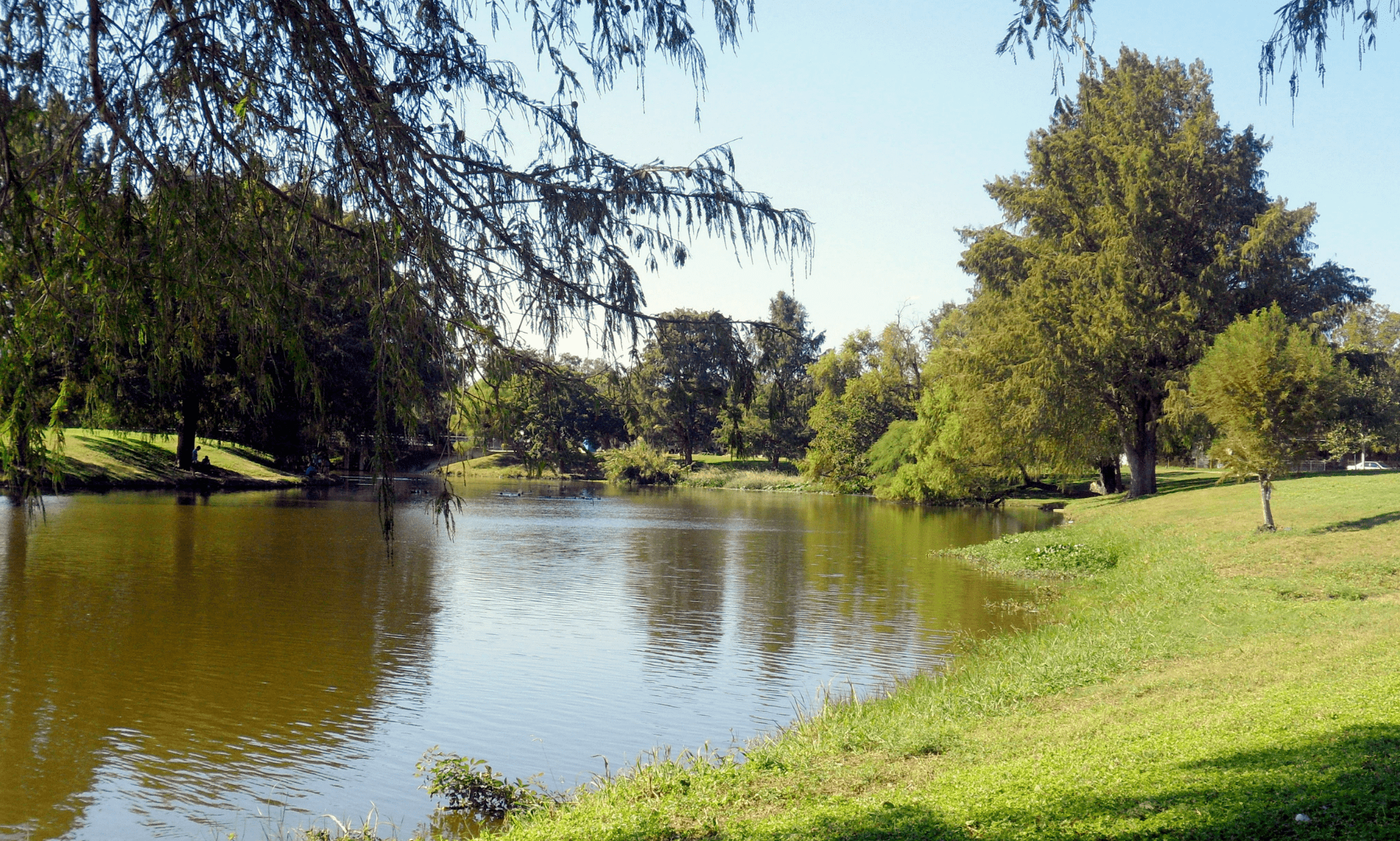Woodlawn Lake Park San Antonio Young Professionals